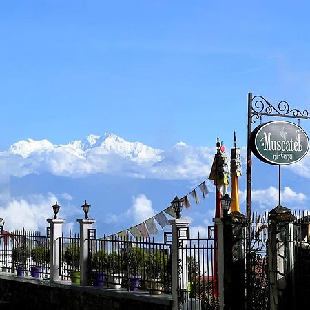 Muscatel Nirvana - At The Mall Road Darjeeling  Exteriör bild